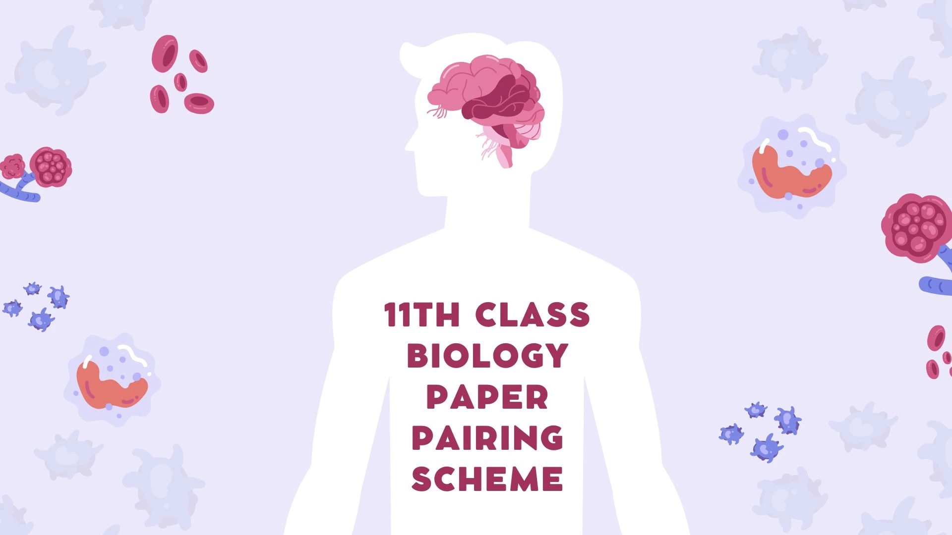 11th class biology paper pairing scheme